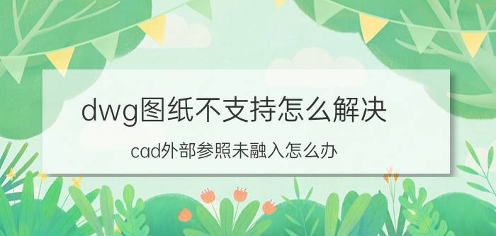 dwg图纸不支持怎么解决 cad外部参照未融入怎么办？